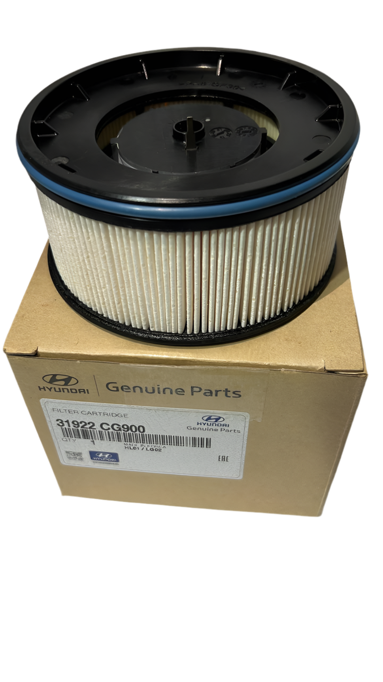 Filtro De Petroleo Hyundai Staria Original 31922Cg900