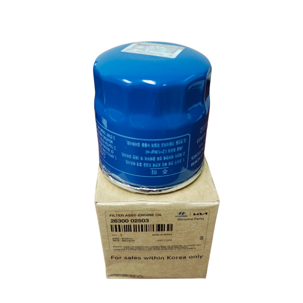 Filtro Aceite Hyundai I10 Kia Morning 2005 19 Original 2630002503