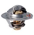 Termostato Terracan 0K41015171A