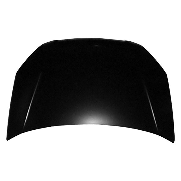 Capot 06-11 Alternativo 664001G010A Rio Jb