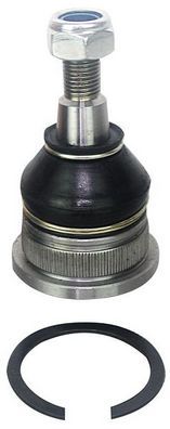 Rotula Inferior Accent 95 - 99 / Elantra 96 - 99 5450322A00