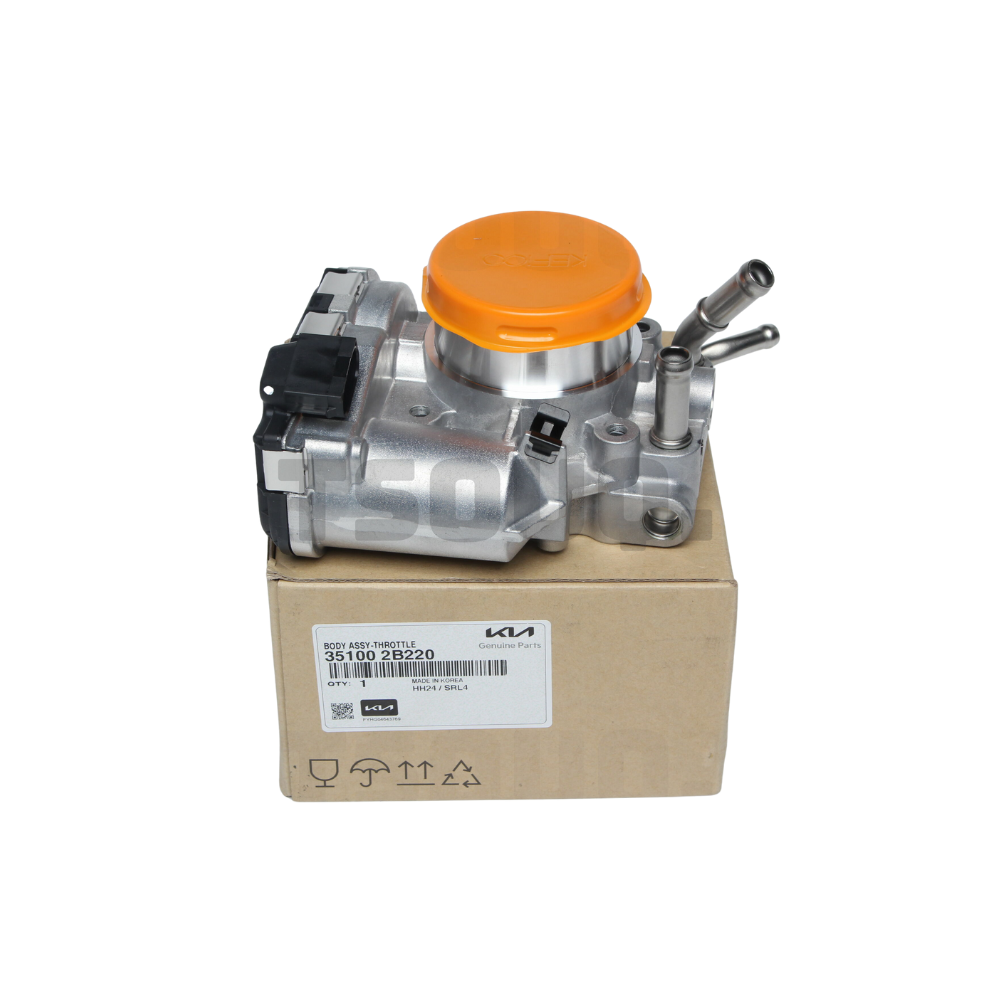 Cuerpo de Aceleración Kia Rio 4 y 5 2012 16 Original 351002B220