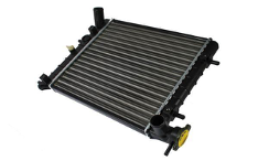 Radiador Accent Prime 00-05 Motor 1.5 Cc 2531025059