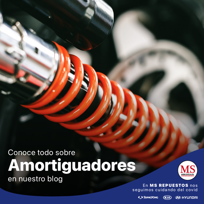 Todo sobre Amortiguadores