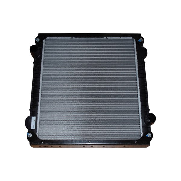 Radiador Motor Hyundai Mighty EX9 Original 253015M000