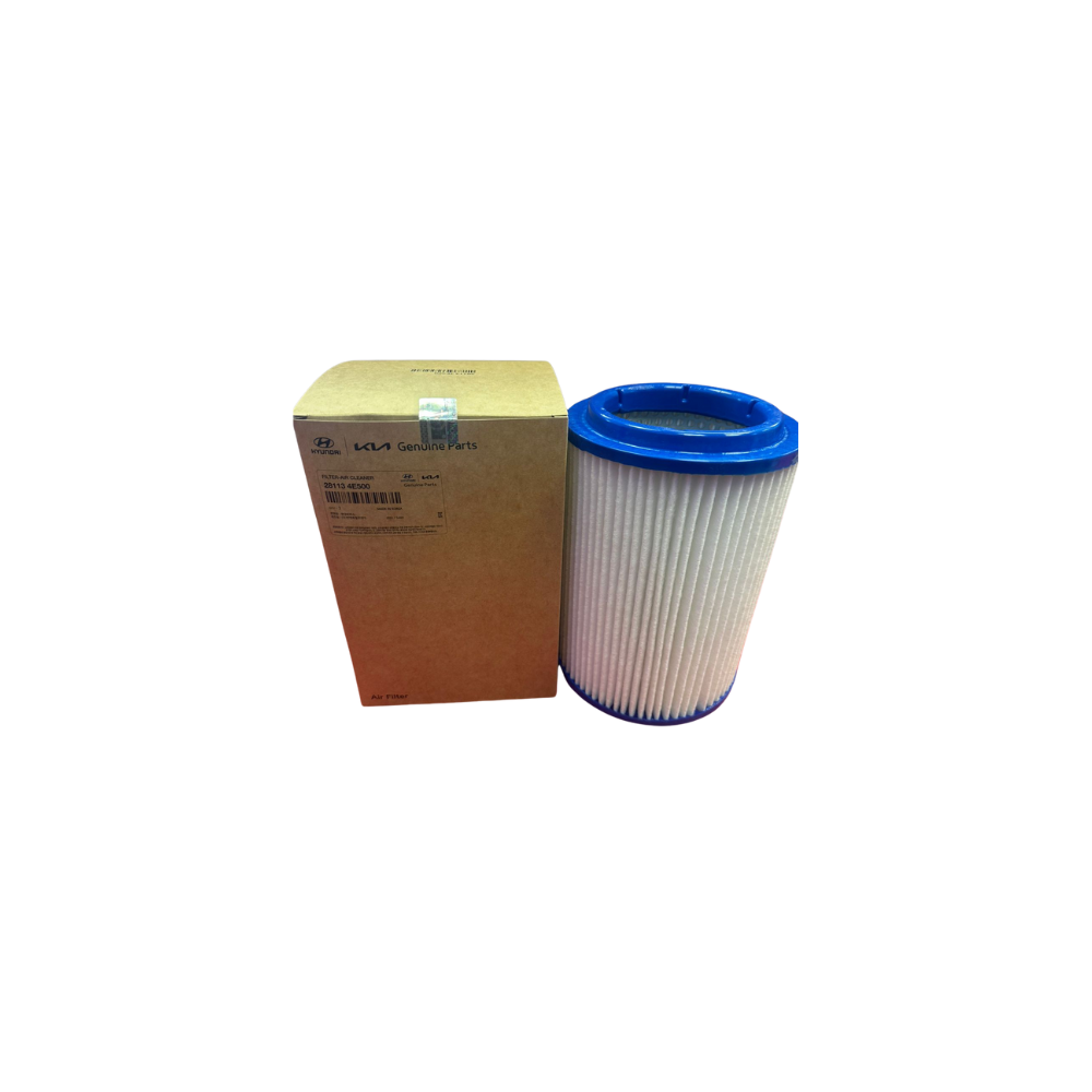 Filtro Aire 95-98 Korea Hyundai Mighty y Porter Au 2813045020