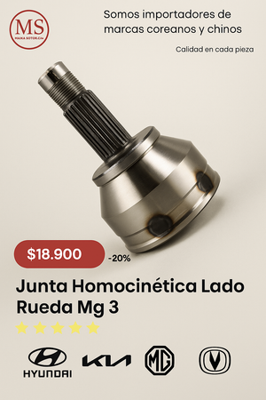 Junta Homocinética Lado Rueda Mg 3