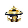 Termostato Accent Prime 1.5 Cc 2550022600