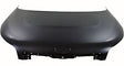 Capot 66400B2009 Alternativo Kia New Soul 15<